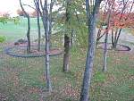 img_0538.jpg